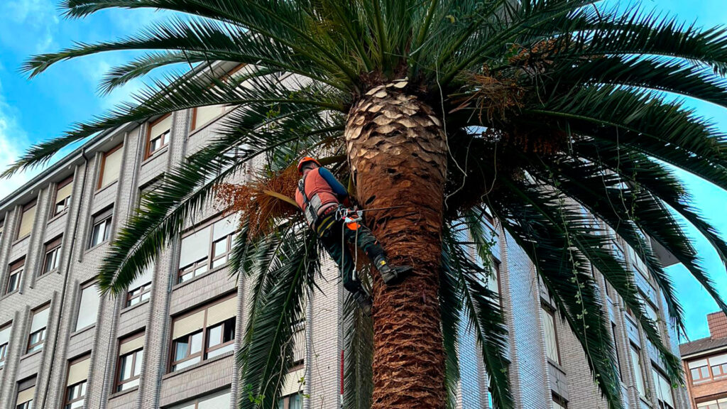 Endoterapia Cantabria