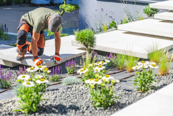 paisajismo en Cantabria